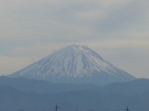 P1060791